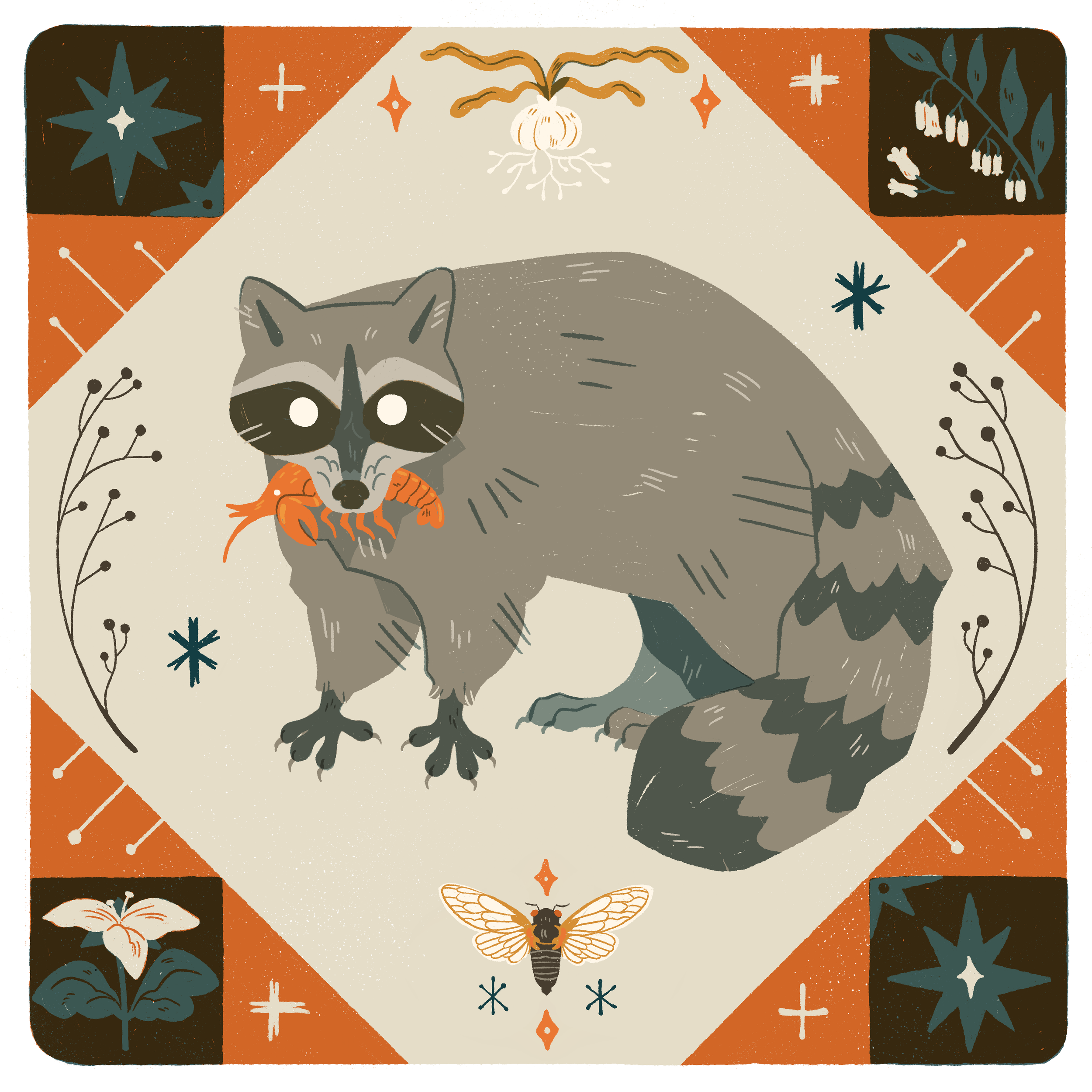 raccoon.png